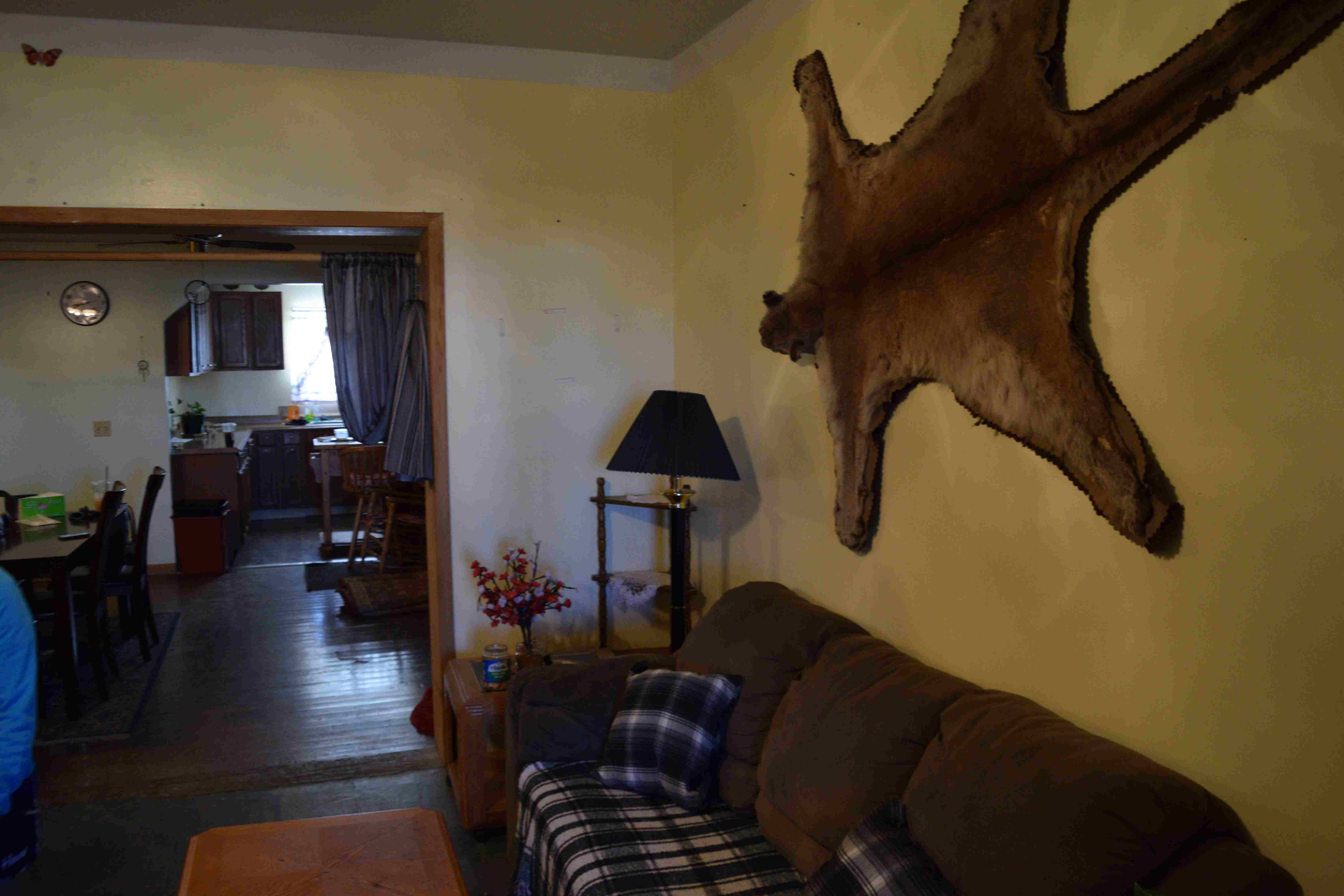 Before cleanout - Historic Route 66 building in Truxton, Arizona - Photo 2