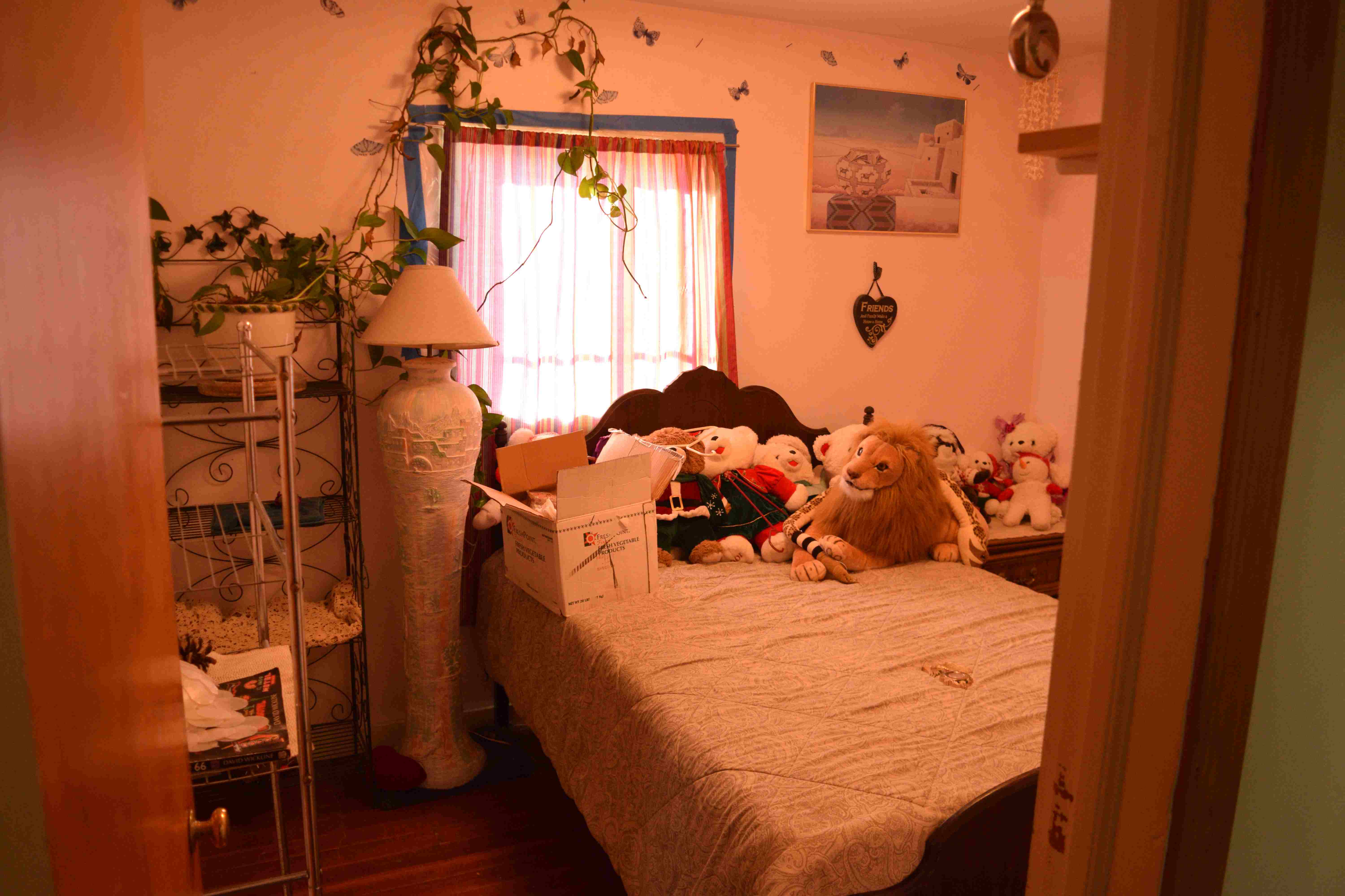 Before cleanout - Historic Route 66 building in Truxton, Arizona - Photo 13